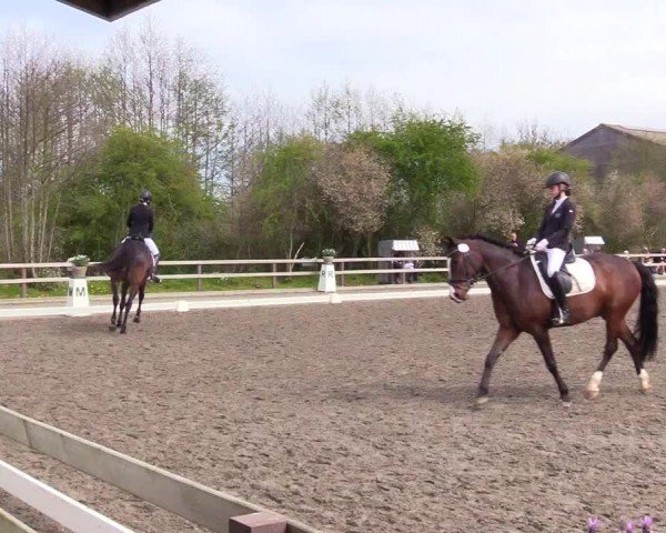 Reitturnier Ladelunder Turniertage 2024