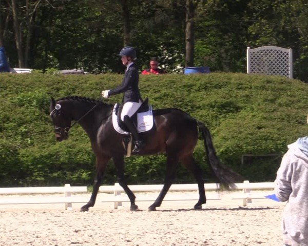 Reitturnier Pietzpuhl 2024