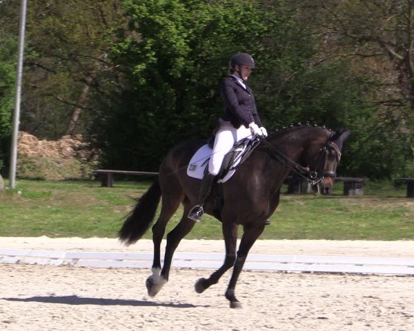 Reitturnier Pietzpuhl 2024