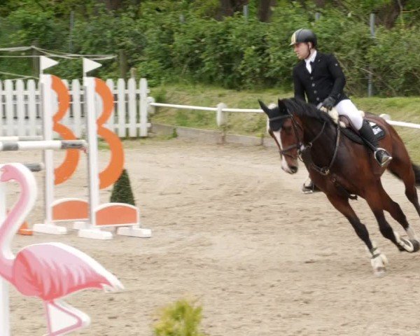 Reitturnier Großostheim/Ufr. 2024