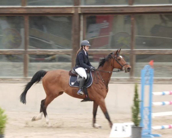 Reitturnier Großostheim/Ufr. 2024
