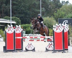 jumper Pss Bondarole H.s. (Bavarian, 2010, from Connor 48)