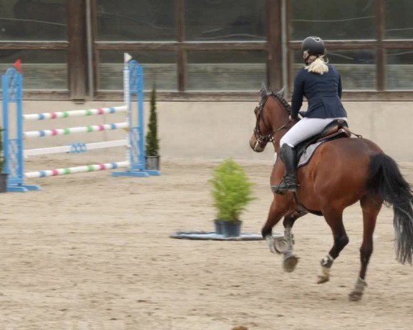 Reitturnier Großostheim/Ufr. 2024