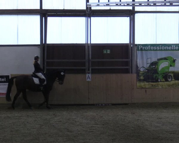 Dressurturnier Borgholzhausen-Westbarthausen 2021