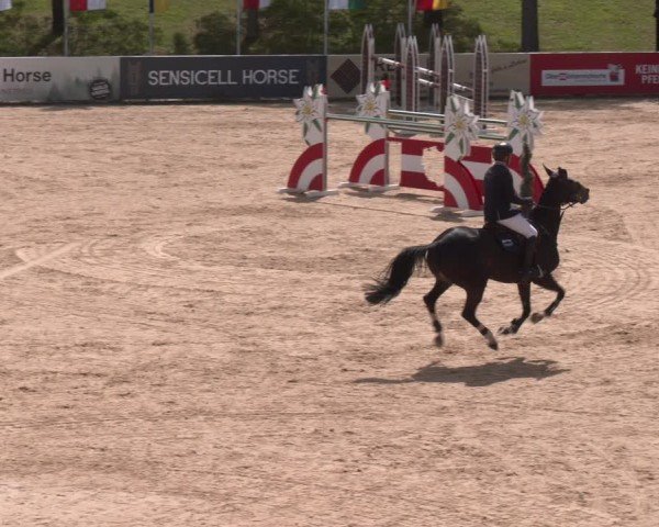 FEI Springturnier Stadl Paura 2024