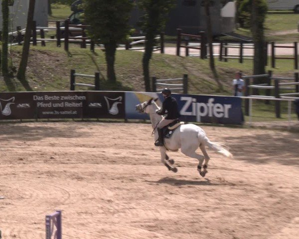 FEI Springturnier Stadl Paura 2024