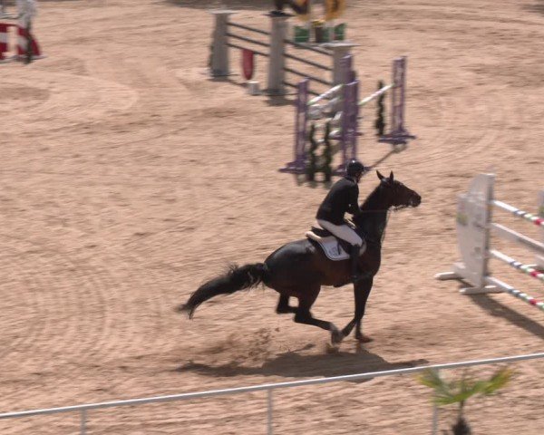 FEI Springturnier Stadl Paura 2024