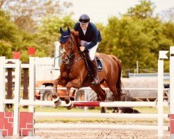 jumper Futurismo (Irish Sport Horse, 2015, from Future Trend)