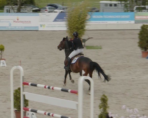 Reitturnier Monheim - Gut Blee 2024