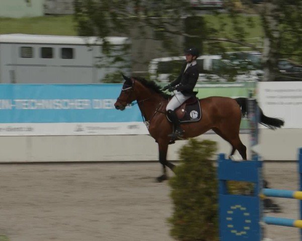 Reitturnier Monheim - Gut Blee 2024