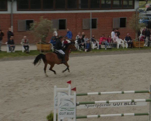 Reitturnier Monheim - Gut Blee 2024