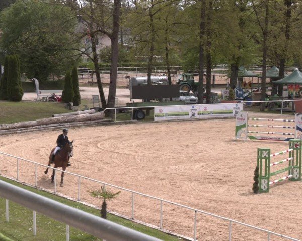 FEI Springturnier Stadl Paura 2024