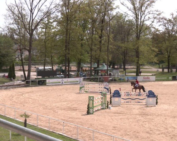 FEI Springturnier Stadl Paura 2024