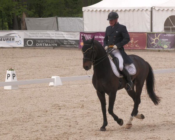 Reitturnier Karlsfeld/Obb. 2024