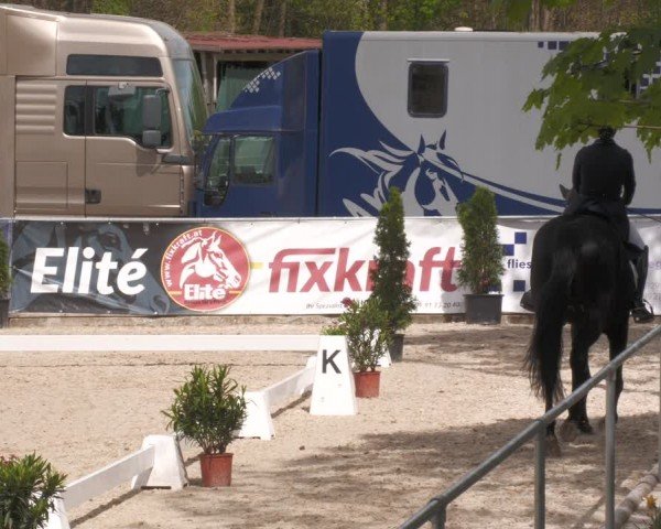 Reitturnier Karlsfeld/Obb. 2024