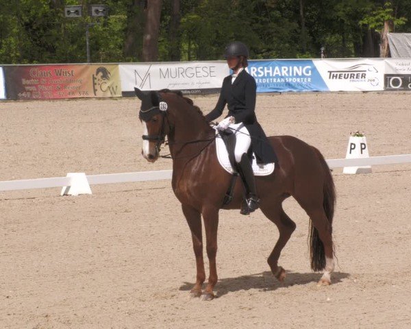 Reitturnier Karlsfeld/Obb. 2024