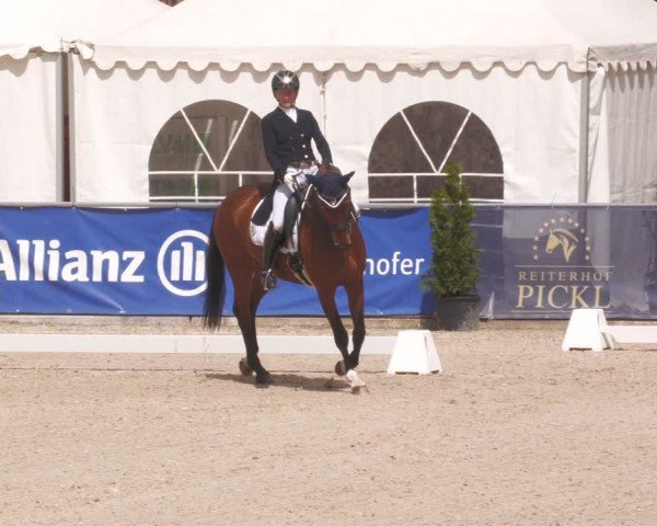 Reitturnier Karlsfeld/Obb. 2024