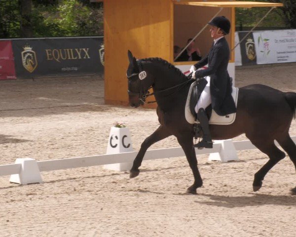 Reitturnier Karlsfeld/Obb. 2024