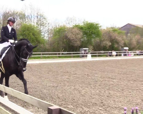 Reitturnier Ladelunder Turniertage 2024