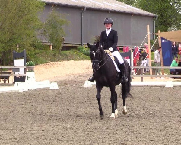 Reitturnier Ladelunder Turniertage 2024