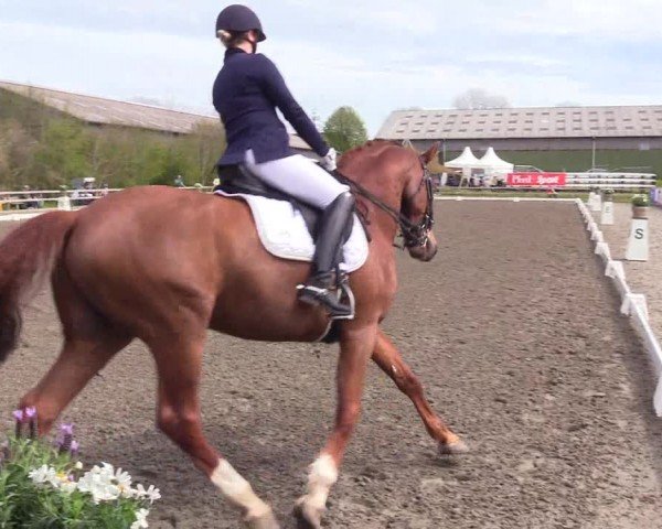 Reitturnier Ladelunder Turniertage 2024