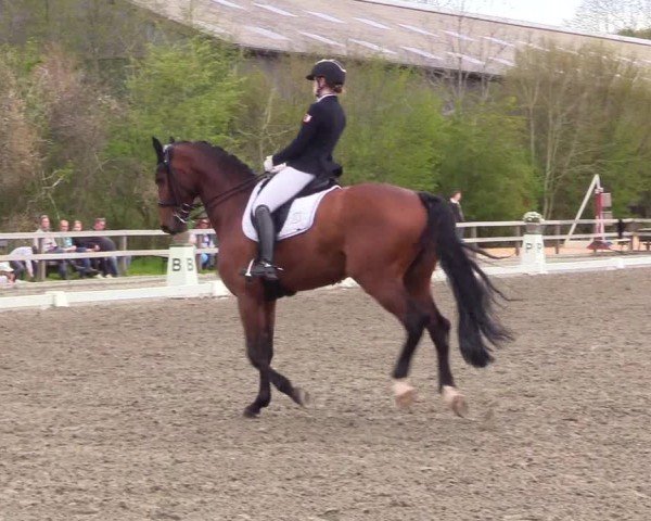 Reitturnier Ladelunder Turniertage 2024