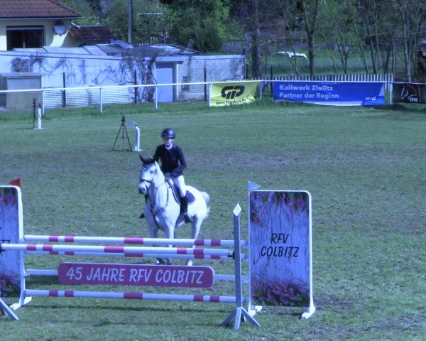 Reitturnier Colbitz 2024