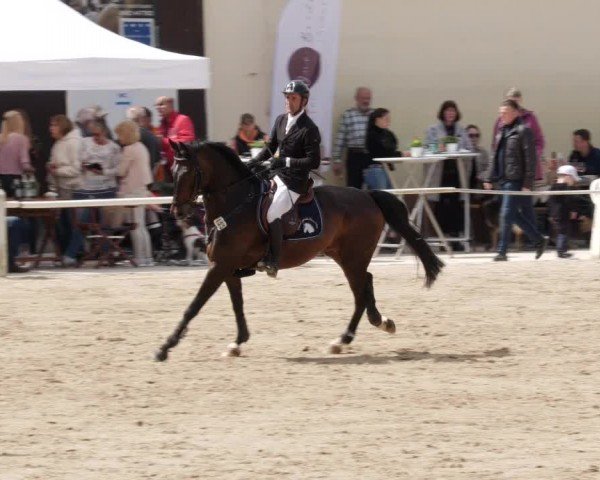 Reitturnier Großostheim/Ufr. 2024
