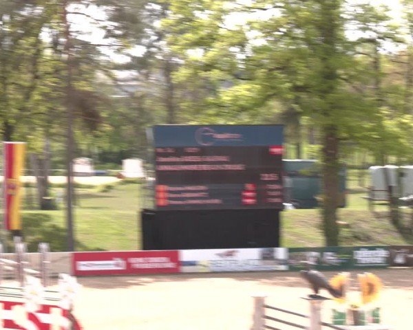 FEI Springturnier Stadl Paura 2024