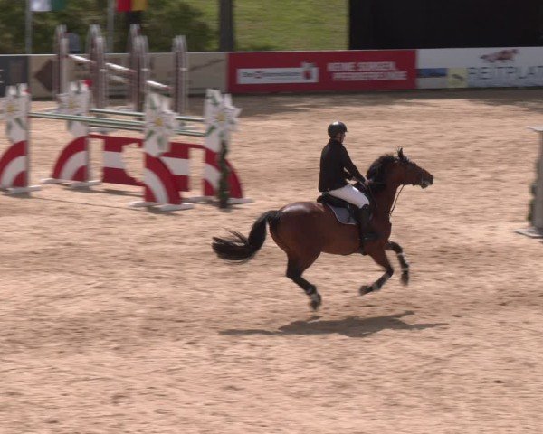 FEI Springturnier Stadl Paura 2024
