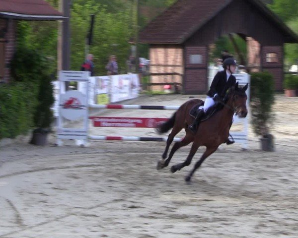 Reitturnier Nienberge 2024