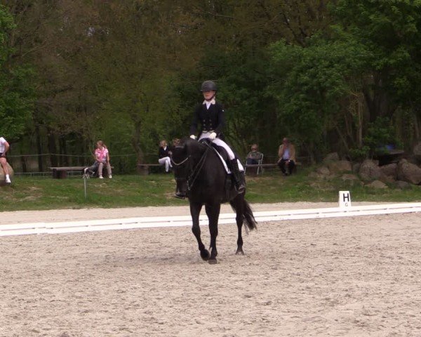 Reitturnier Pietzpuhl 2024