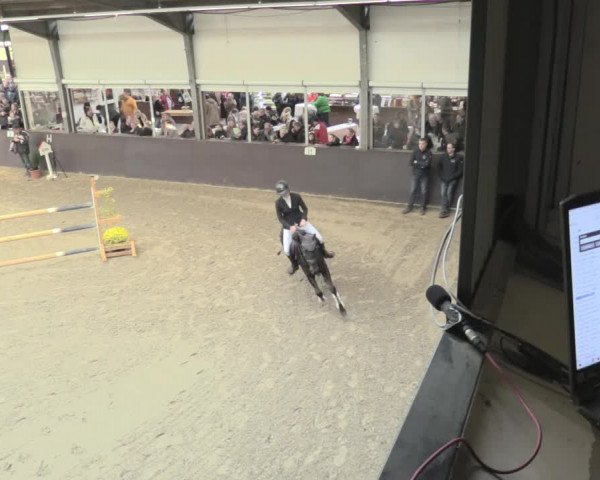 23. Legdener Ponymeeting 2021