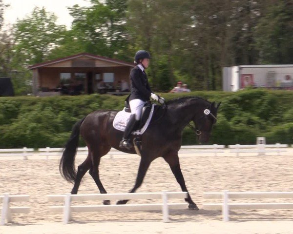 Reitturnier Pietzpuhl 2024