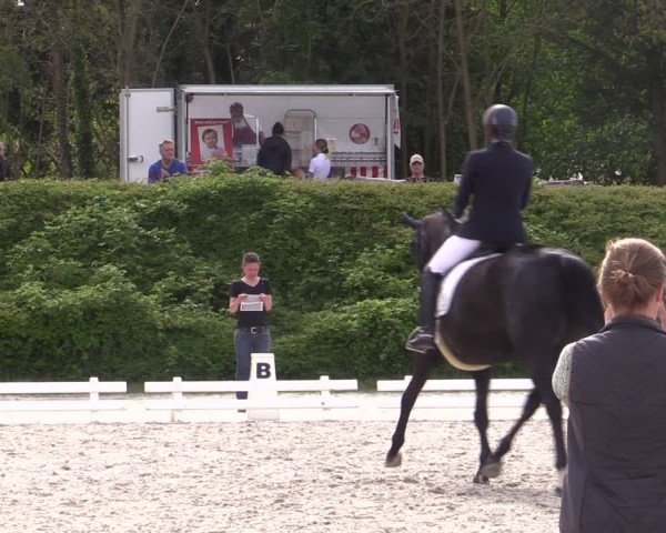 Reitturnier Pietzpuhl 2024