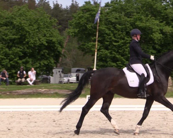 Reitturnier Pietzpuhl 2024