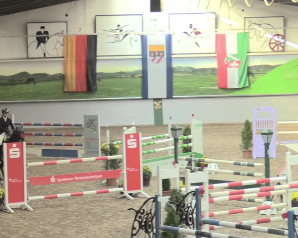 23. Legdener Ponymeeting 2021