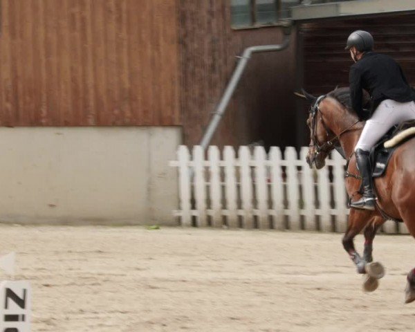 Reitturnier Großostheim/Ufr. 2024
