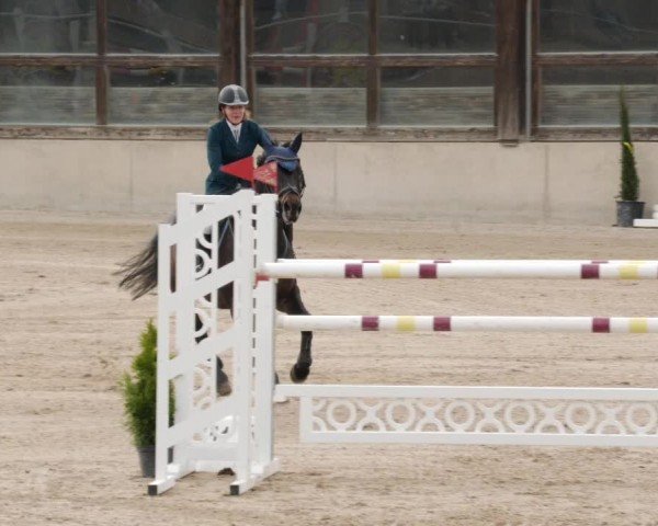 Reitturnier Großostheim/Ufr. 2024