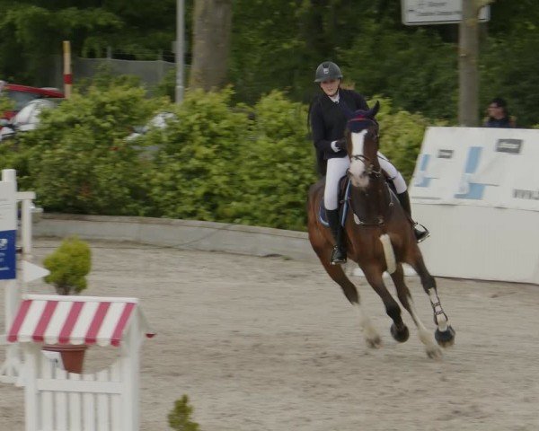 Reitturnier Monheim - Gut Blee 2024