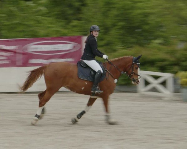 Reitturnier Monheim - Gut Blee 2024
