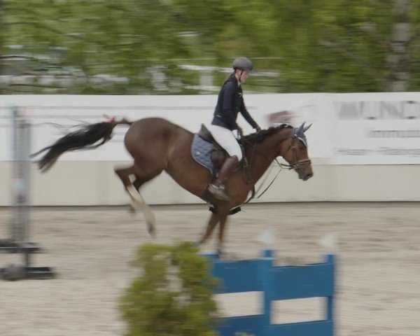 Reitturnier Monheim - Gut Blee 2024