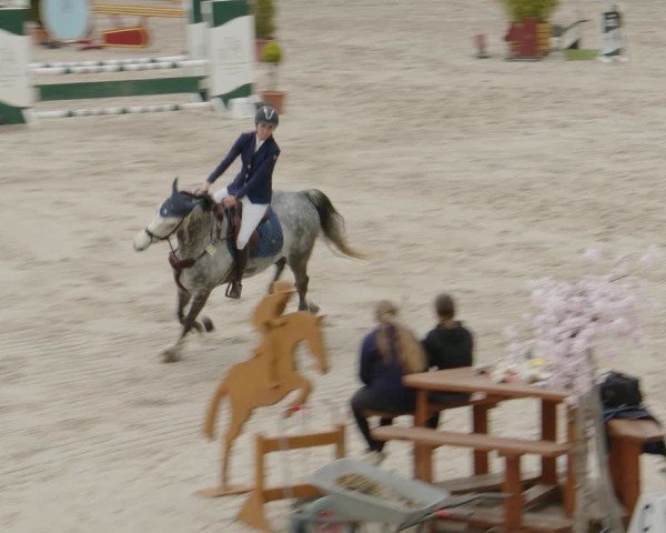 Reitturnier Monheim - Gut Blee 2024