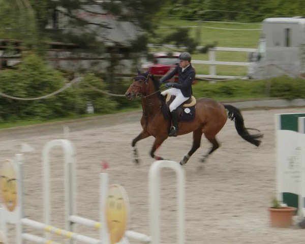 Reitturnier Monheim - Gut Blee 2024