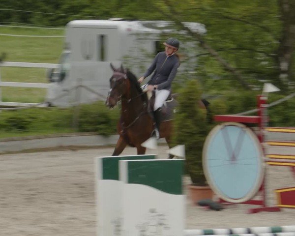 Reitturnier Monheim - Gut Blee 2024