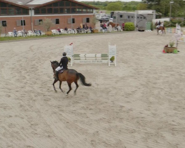 Reitturnier Monheim - Gut Blee 2024