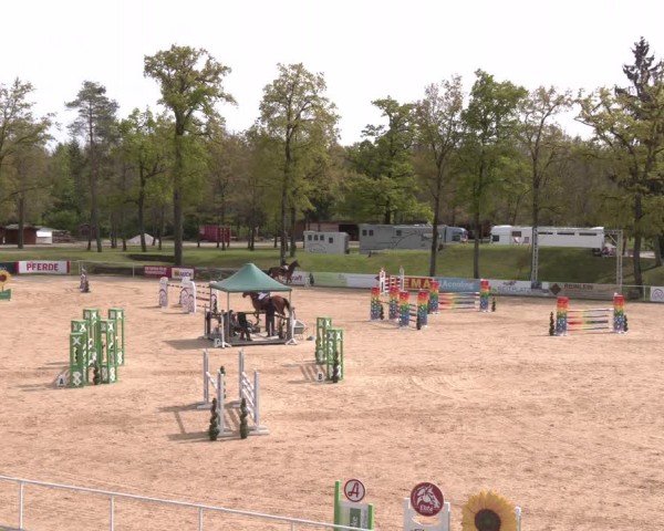 FEI Springturnier Stadl Paura 2024