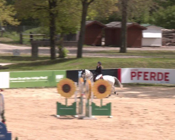 FEI Springturnier Stadl Paura 2024