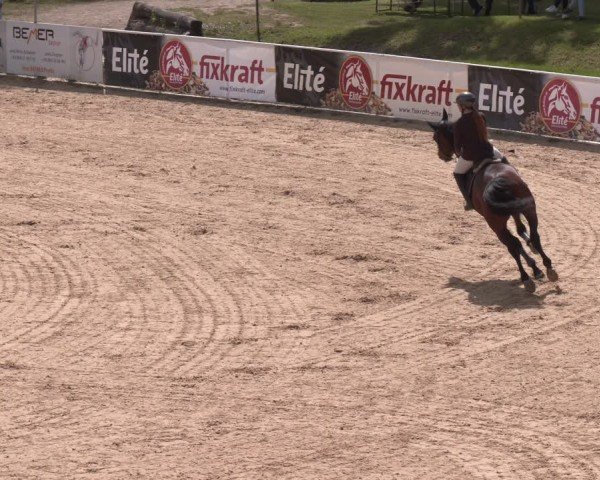 FEI Springturnier Stadl Paura 2024