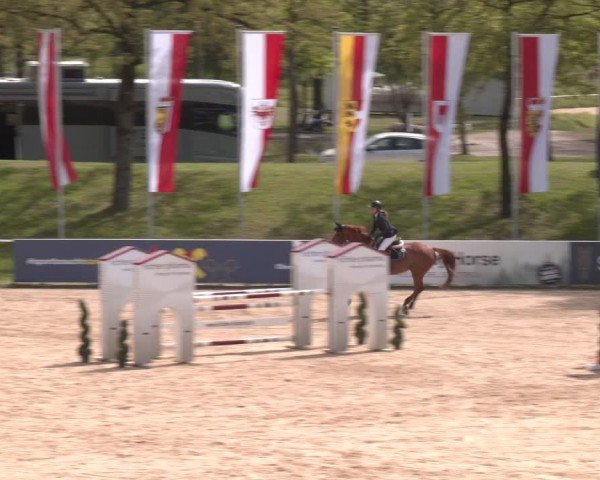 FEI Springturnier Stadl Paura 2024